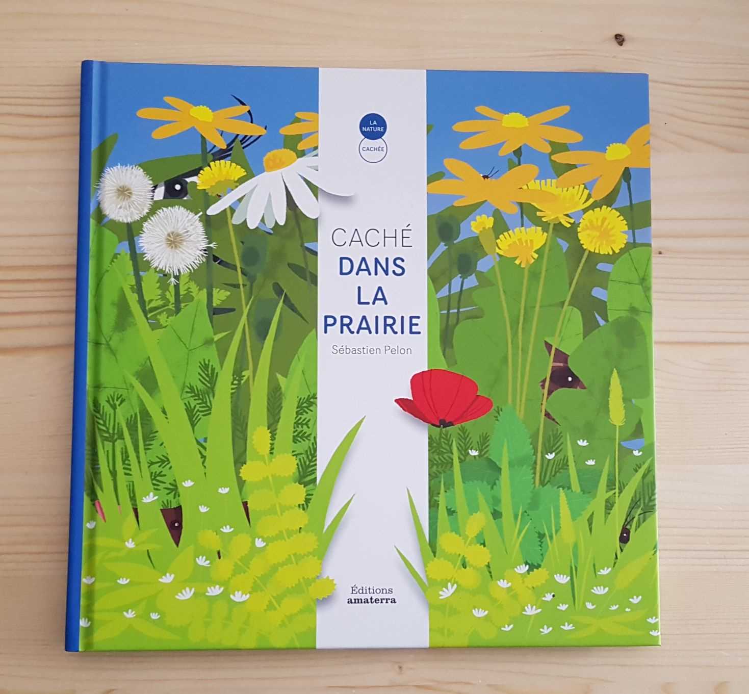 caché dans la prairie