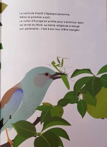 librairie la librai'bulles l'oiseau sur la branche