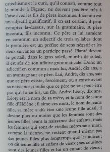 Histoire du fils Marie Helène Lafon Librairie La Librai'bulles