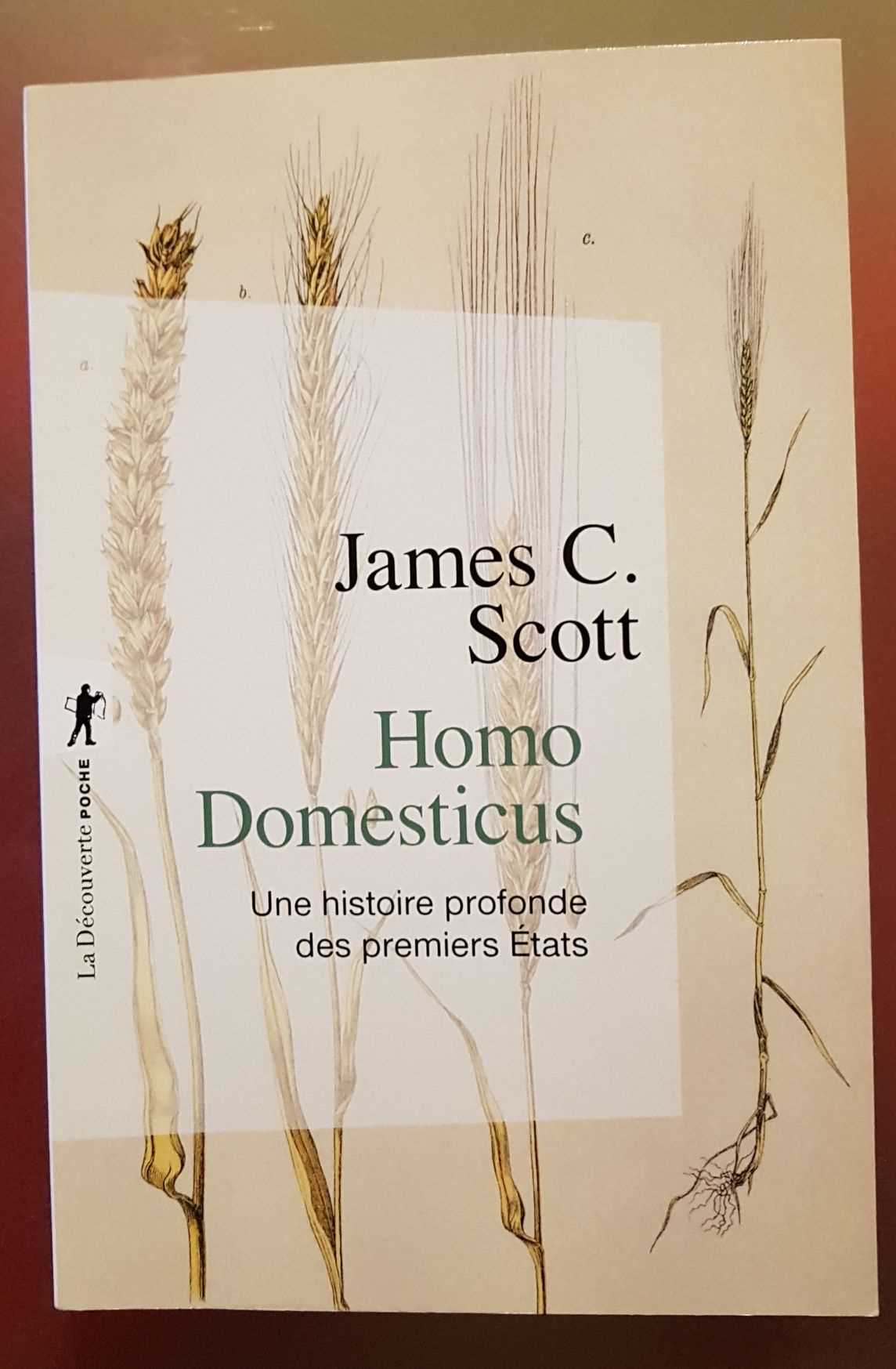 Homo Domesticus Librairie La Librai'bulles