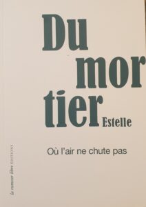 Dédicace Estelle Dumortier