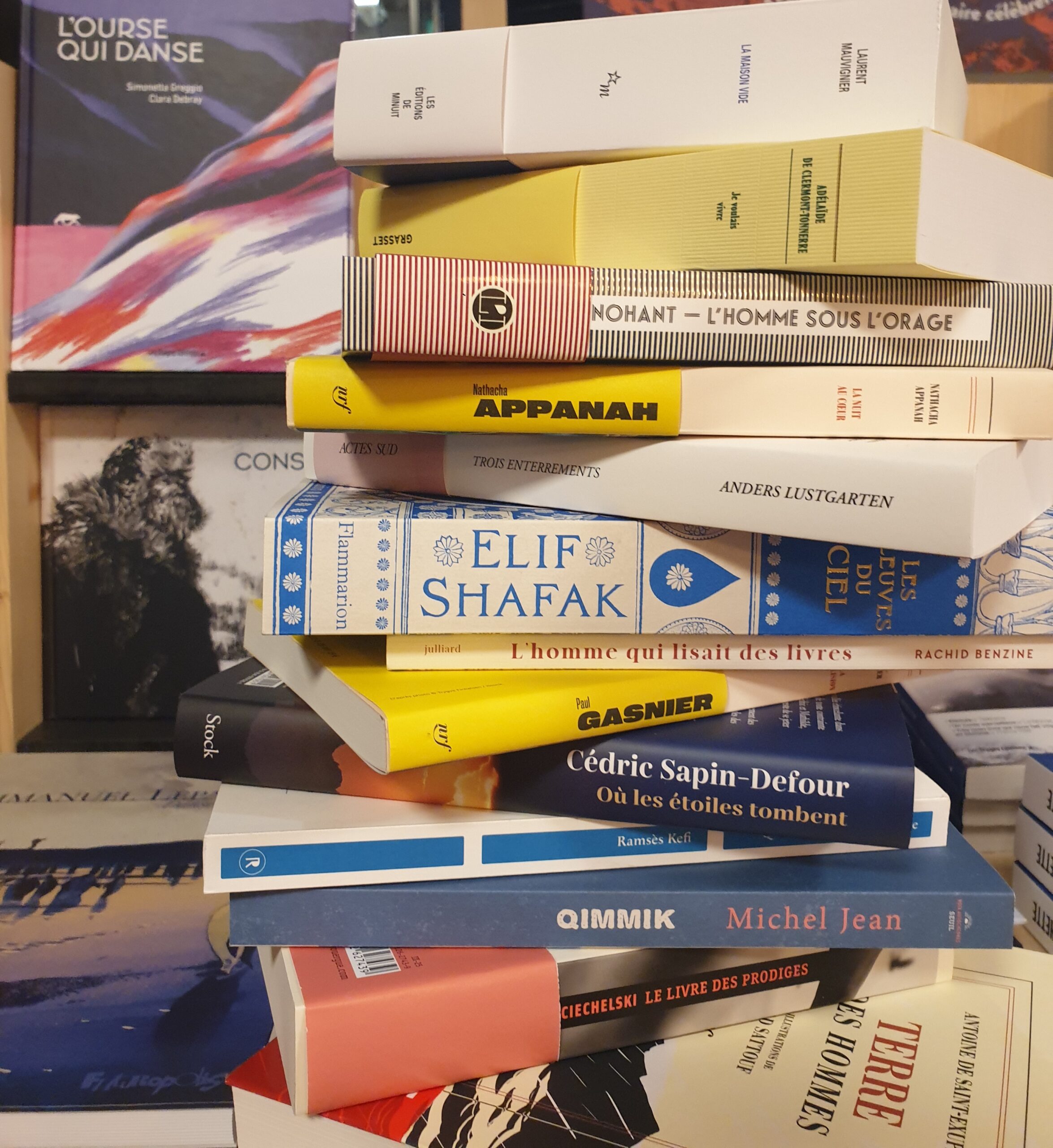 coups de cœur Noël